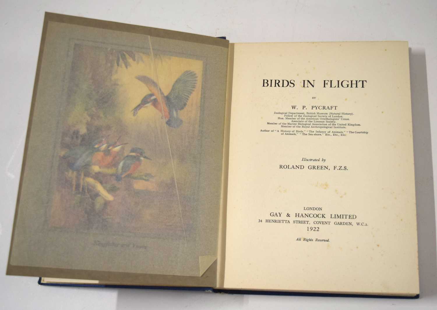 Ornithological book interest: Birds in Flight 1st edition 1922 by W.P.Pycraft. 12-mounted colour - Image 5 of 8