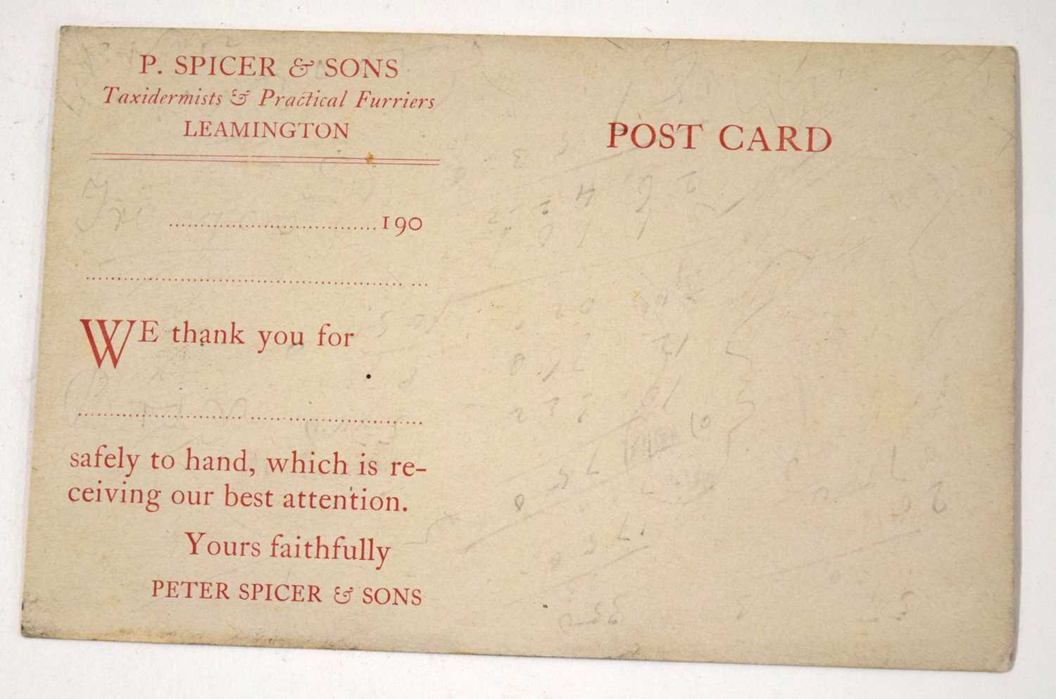 Taxidermy interest - Two Peter Spicer of Leamington Spa Postcards, to include one of Fox mask and - Image 5 of 5