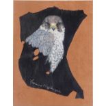 M Nightingale: Peregrine Falcon Head