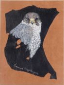 M Nightingale: Peregrine Falcon Head