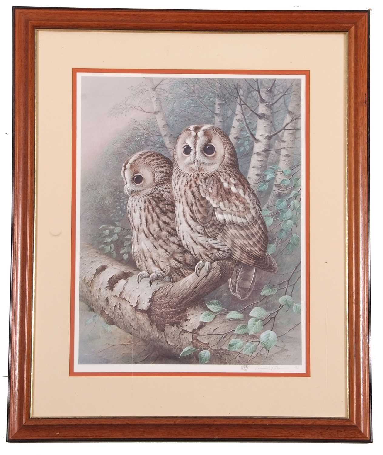 Raymond Watson (British, b.1935), Tawny Owls, collotype print in colours, pencil vignette and - Image 2 of 2