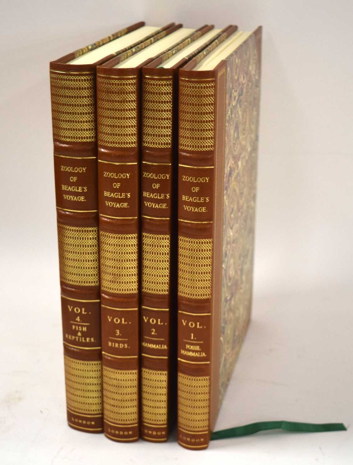 Natural History Book interest - Modern leather bound facsimiles of "Zoology of the Beagles Voyage" - Image 2 of 5