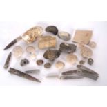 Quantity of fossils to include Encrinite, Mammoth's tooth, Belemnites, Devils toenail 'Gryphaea'