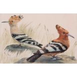 Sergei Nabutovsky (Russian, 20th/21st century), 'Hoopoes', watercolour, monogrammed,19x28cm,