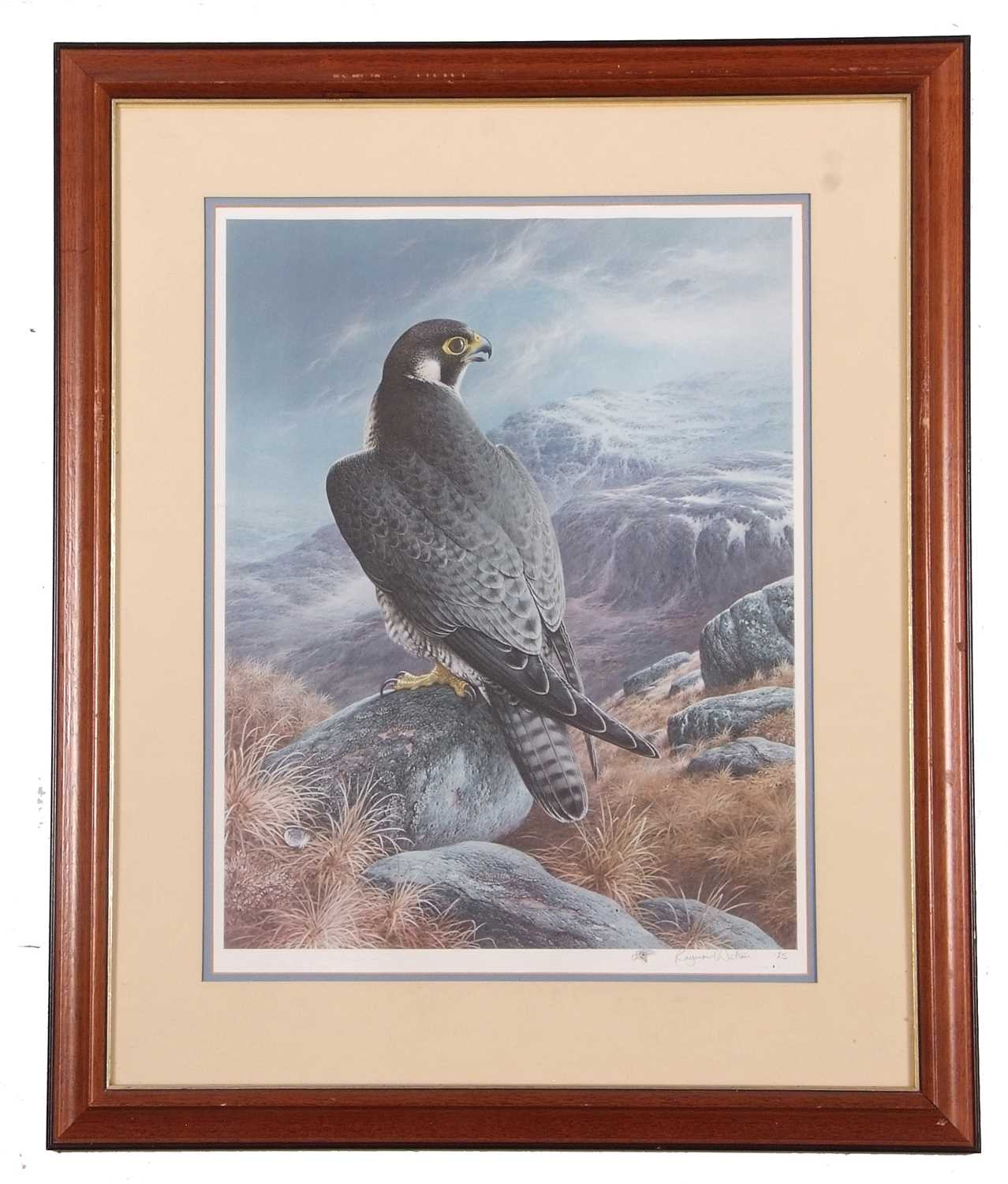 Raymond Watson (British, b.1935) The Peregrine Falcon, collotype print in colours, pencil vignette - Image 2 of 2