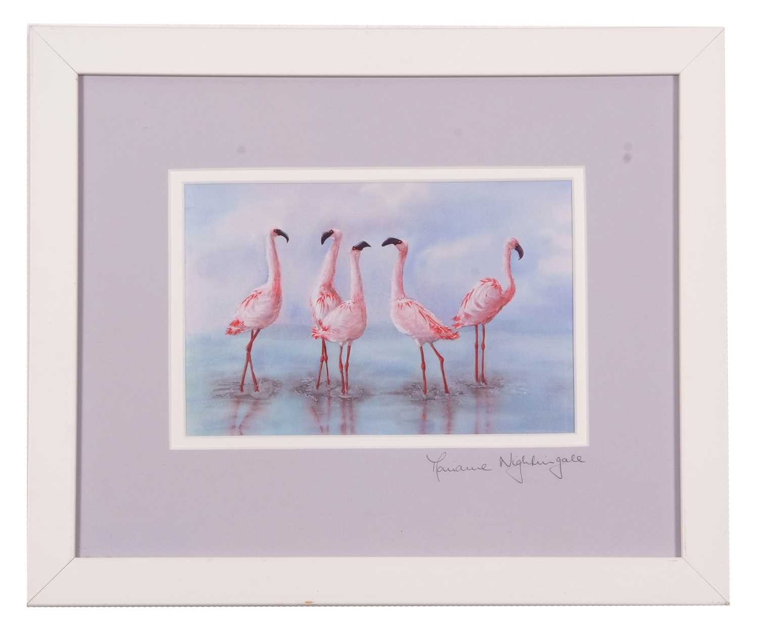 M.Nightingale: 'Avocet Preening', Emperor Penguin and chick, and 'Flamingo Foxtrot', lithographs - Image 4 of 7