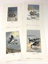 J.C Harrison: Set of 4 limited edition signed prints The Norfolk Naturalist Trust 1981.Limited