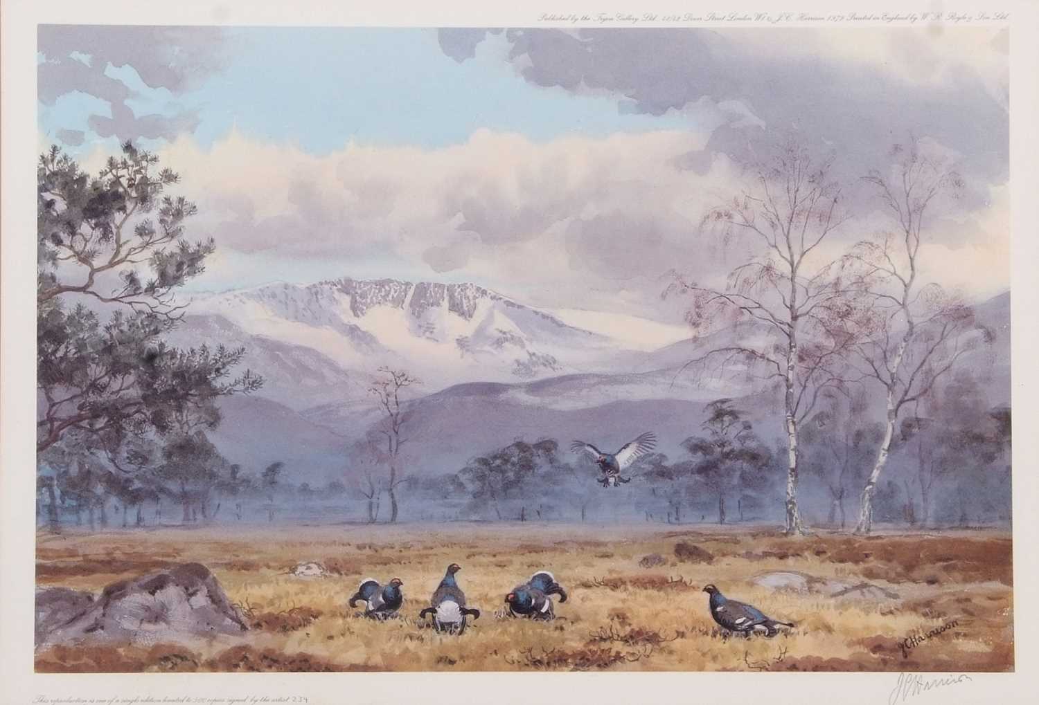 John Cyril Harrison (1898-1985), "Blackgame in the Cairngorms", coloured print, published by the - Image 2 of 2