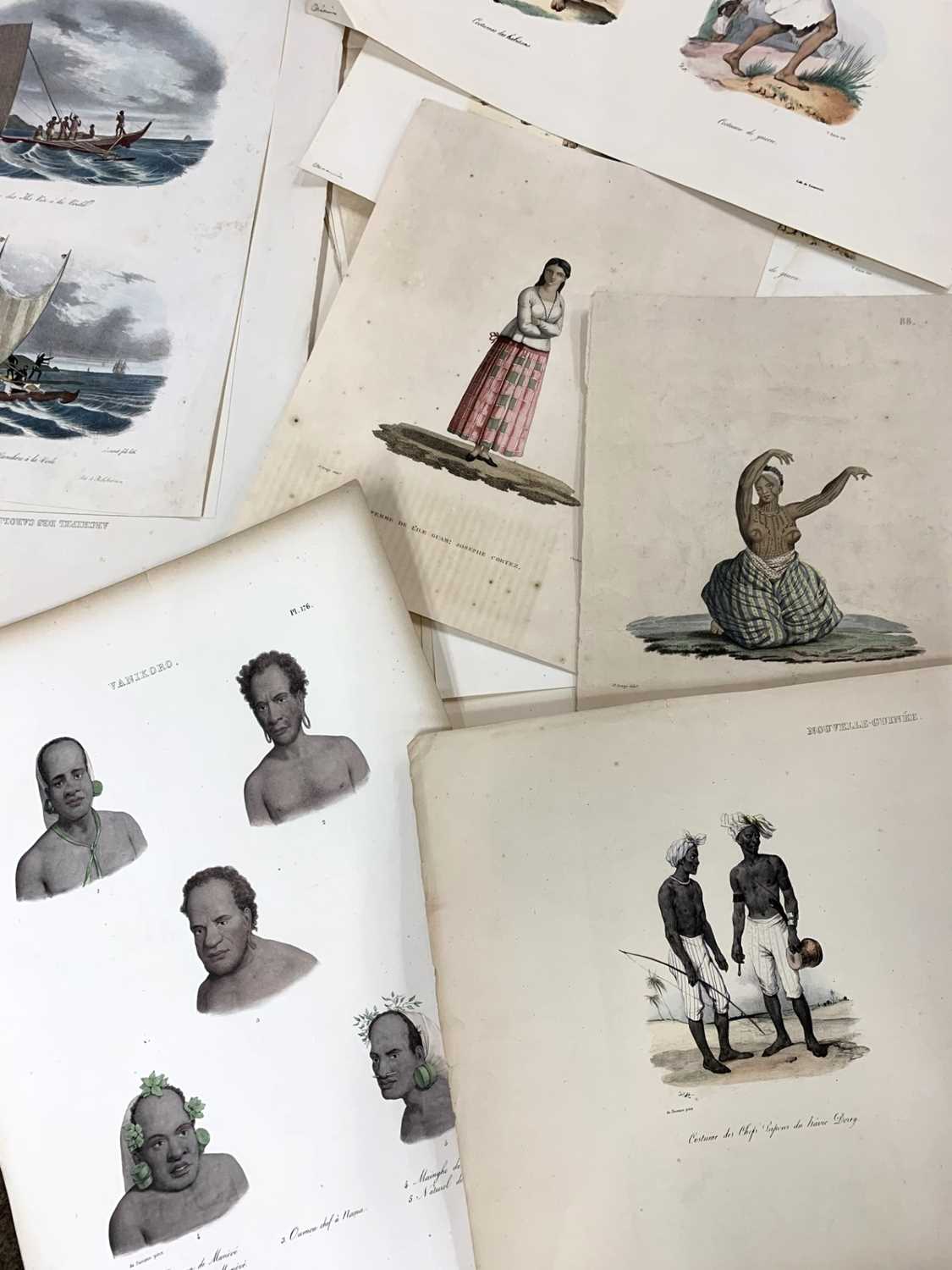 Approx 36 copper plate engravings in colour taken from "Voyage de la Coquille" and "Voyage de la