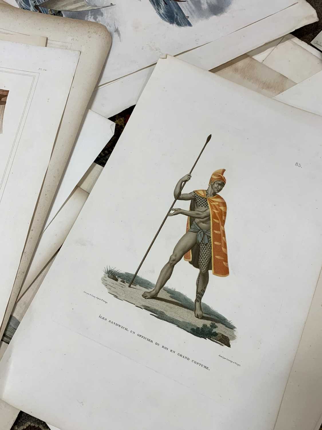 Approx 36 copper plate engravings in colour taken from "Voyage de la Coquille" and "Voyage de la - Image 3 of 5