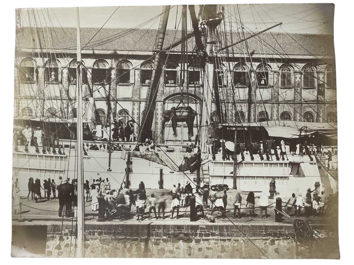 A 19th century Indian photograph of an elephant being lowered into a ship by crane in Bombay.