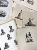 Approx 36 copper plate engravings in colour taken from "Voyage de la Coquille" and "Voyage de la