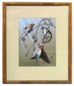 Keith Broomfield, studies of 'Crossbills' and 'Waxwings', gouache, signed and inscribed verso,