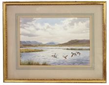 John Cyril Harrison (1898-1985), Mallards dropping in, watercolour, signed, 33x46cm, framed and