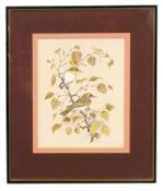 Peter Hayman (British, b.1930), Pair of Woodwarblers, pencil and gouache, signed, 22x29.5cm,