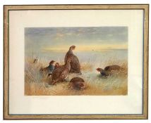Archibald Thorburn (British,1860-1935), English Partridges, collotype artist proof, signed in