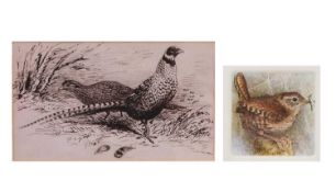 A pair of Reeves Pheasants, pen and ink, initialed and dated 23.2.71 indistinctly, 10x17.5cm, framed
