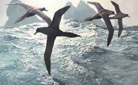 Keith Shackleton (1923-2015), 'Around the Shag Rocks: Light Mantled Sooty Albatross', limited