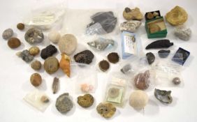 Natural History and Paleontology interest: Box quantity of mixed and assorted fossils and