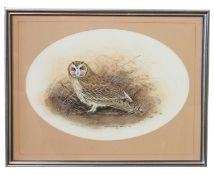 Christopher Scales (British, 20th century), 'Short Eared Owl', gouache and watercolour in oval,