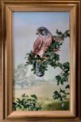 David Feather (b.1952), Kestrel, oil on canvas, signed with feather, 60x34.5cm, framed