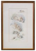 Simon Trinder (British, 20th/21st century), 'Rabbits', pencil and watercolour, signed and dated