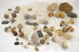 Natural History, Paleontology and fossil intrest: Quantity of mixed assorted fossils to include: