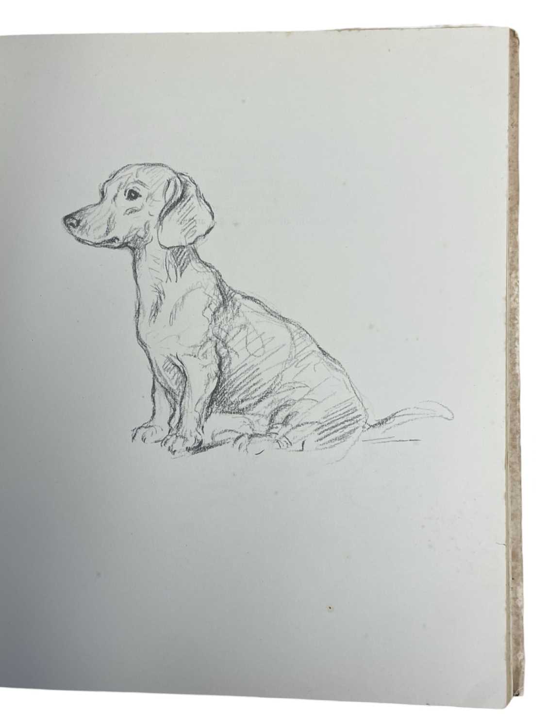 LUCY DAWSON: 2 Titles: DOGS AS I SEE THEM, London, Collins, 1936; DOGS ROUGH AND SMOOTH, London, - Image 4 of 7