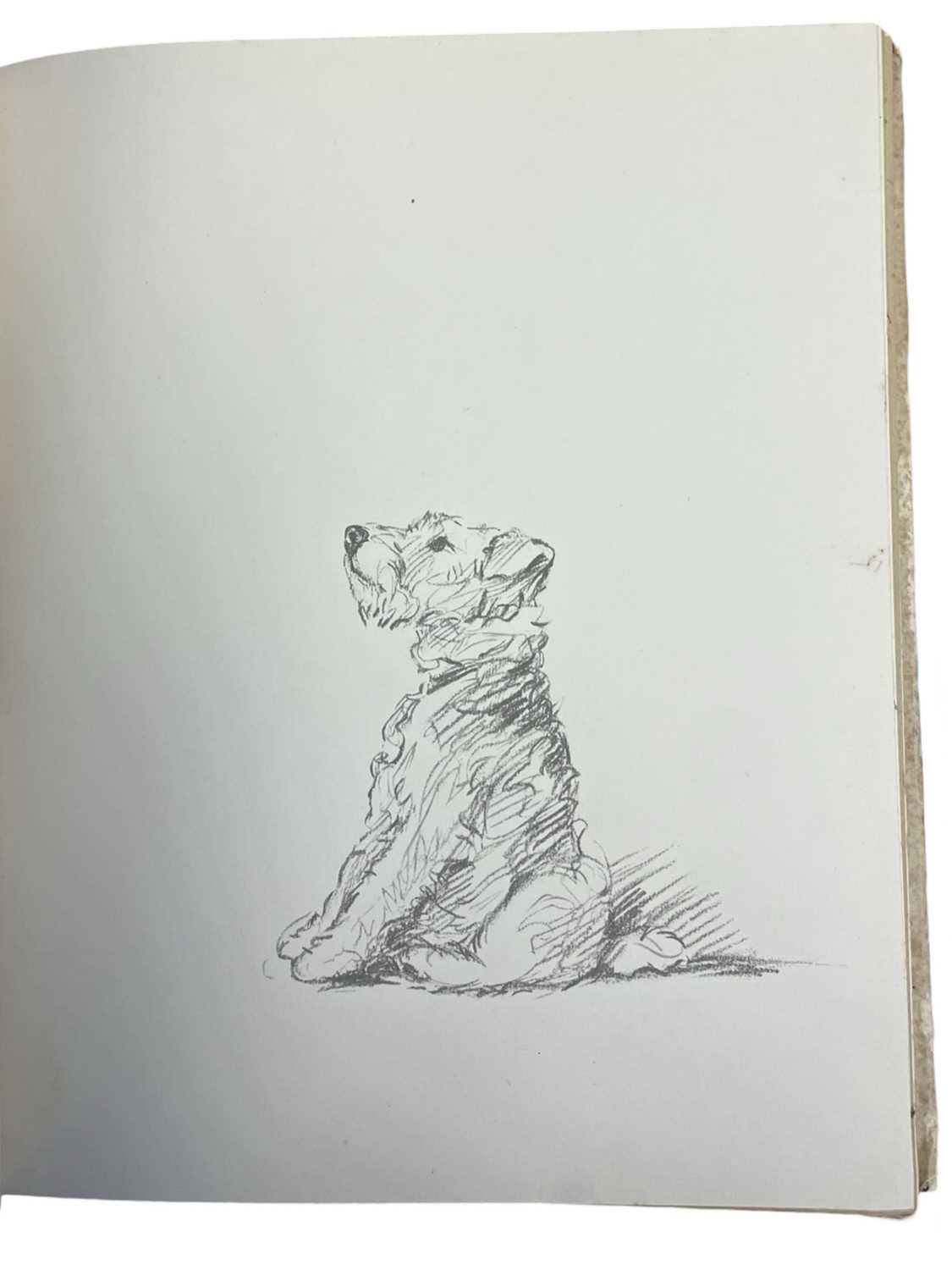 LUCY DAWSON: 2 Titles: DOGS AS I SEE THEM, London, Collins, 1936; DOGS ROUGH AND SMOOTH, London, - Image 3 of 7