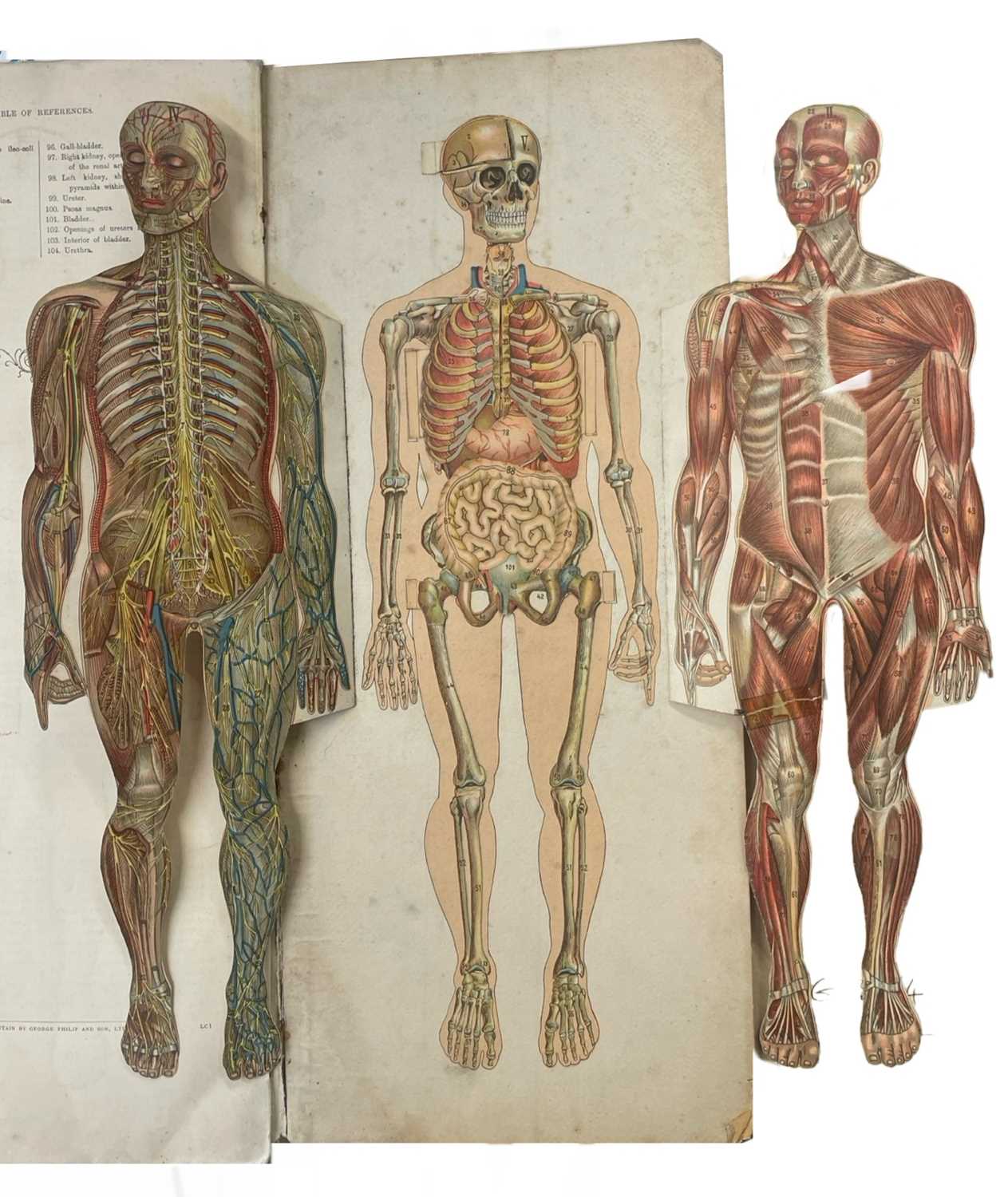 W S FURNEAUX (Ed): PHILIP'S POPULAR MANIKIN, London, George Philip and Son, ND. Losses to corners of - Image 5 of 6