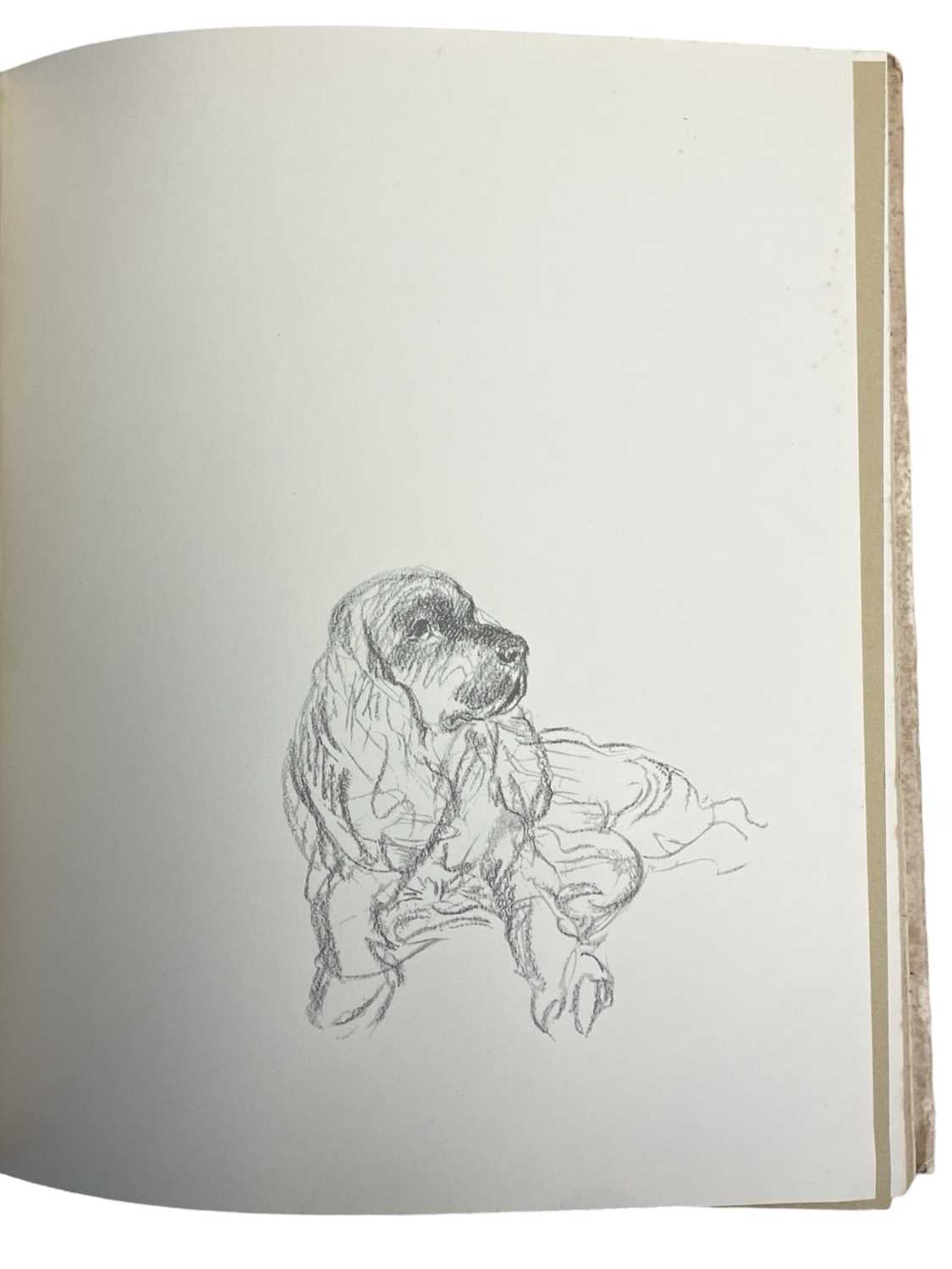 LUCY DAWSON: 2 Titles: DOGS AS I SEE THEM, London, Collins, 1936; DOGS ROUGH AND SMOOTH, London, - Image 5 of 7