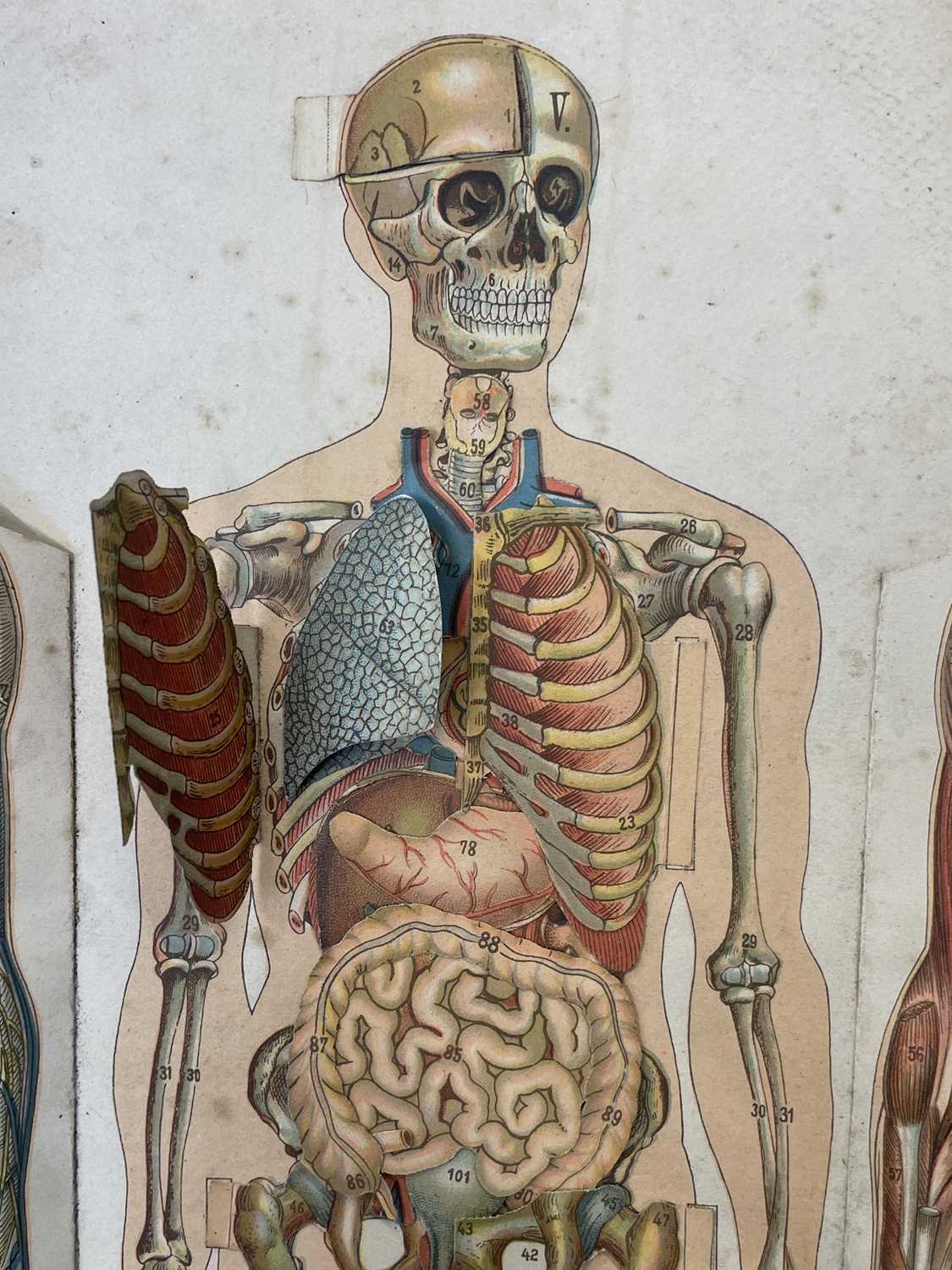 W S FURNEAUX (Ed): PHILIP'S POPULAR MANIKIN, London, George Philip and Son, ND. Losses to corners of - Image 6 of 6