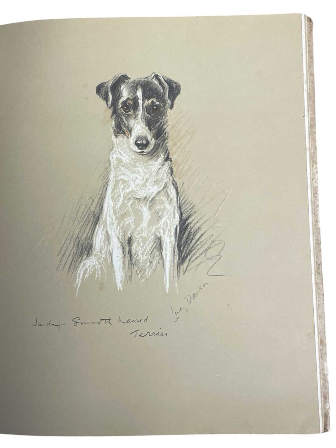 LUCY DAWSON: 2 Titles: DOGS AS I SEE THEM, London, Collins, 1936; DOGS ROUGH AND SMOOTH, London, - Image 6 of 7