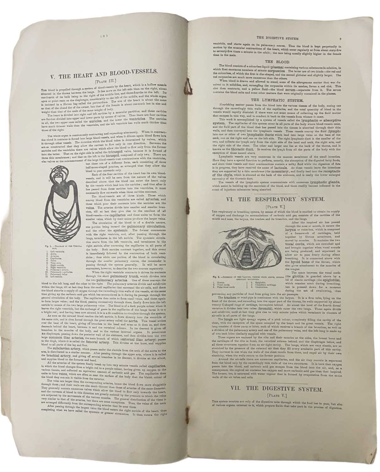 W S FURNEAUX (Ed): PHILIP'S POPULAR MANIKIN, London, George Philip and Son, ND. Losses to corners of - Image 3 of 6