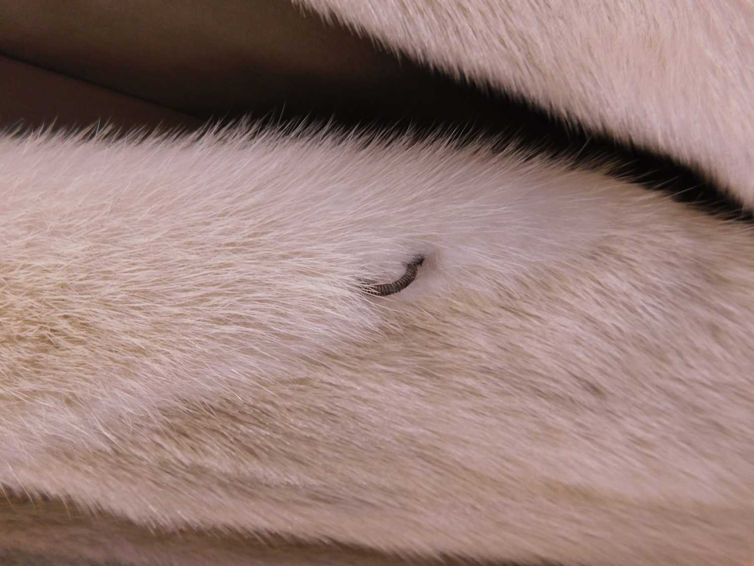 A lady's full length cream fur coat by Hurtiq Ltd overall good with no obvious signs of wear or - Image 5 of 14