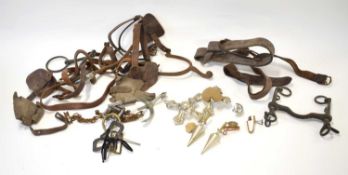 Quantity of late 19th / early 20th century cavalry spurs and associated tack and horse mouth bits