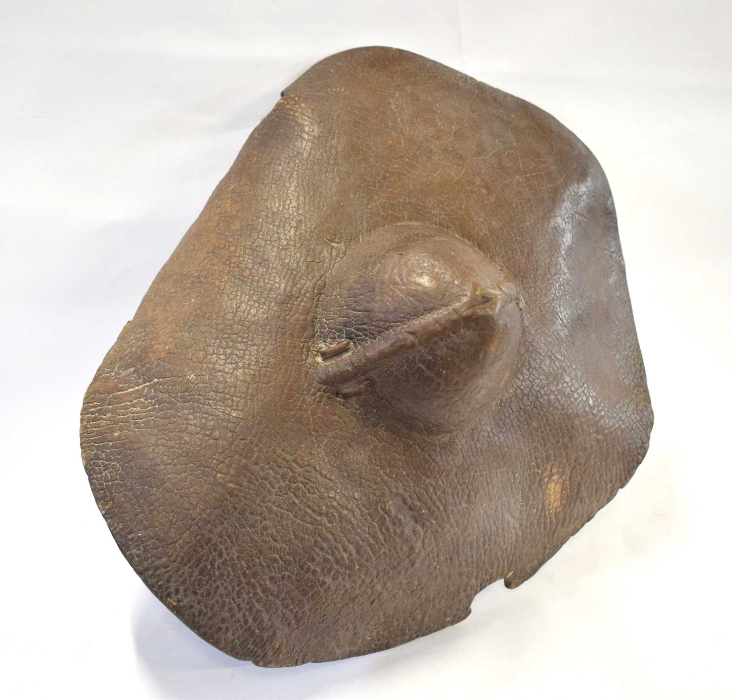 19th Century Sudanese tribal Rhino hide shield - Image 2 of 3