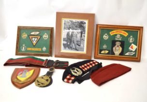 Three framed displays of Royal Armoured Corps 79th Armoured Division insignia, cap badges, to