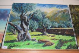 J Serra, study of olive trees, oil on canvas, unframed