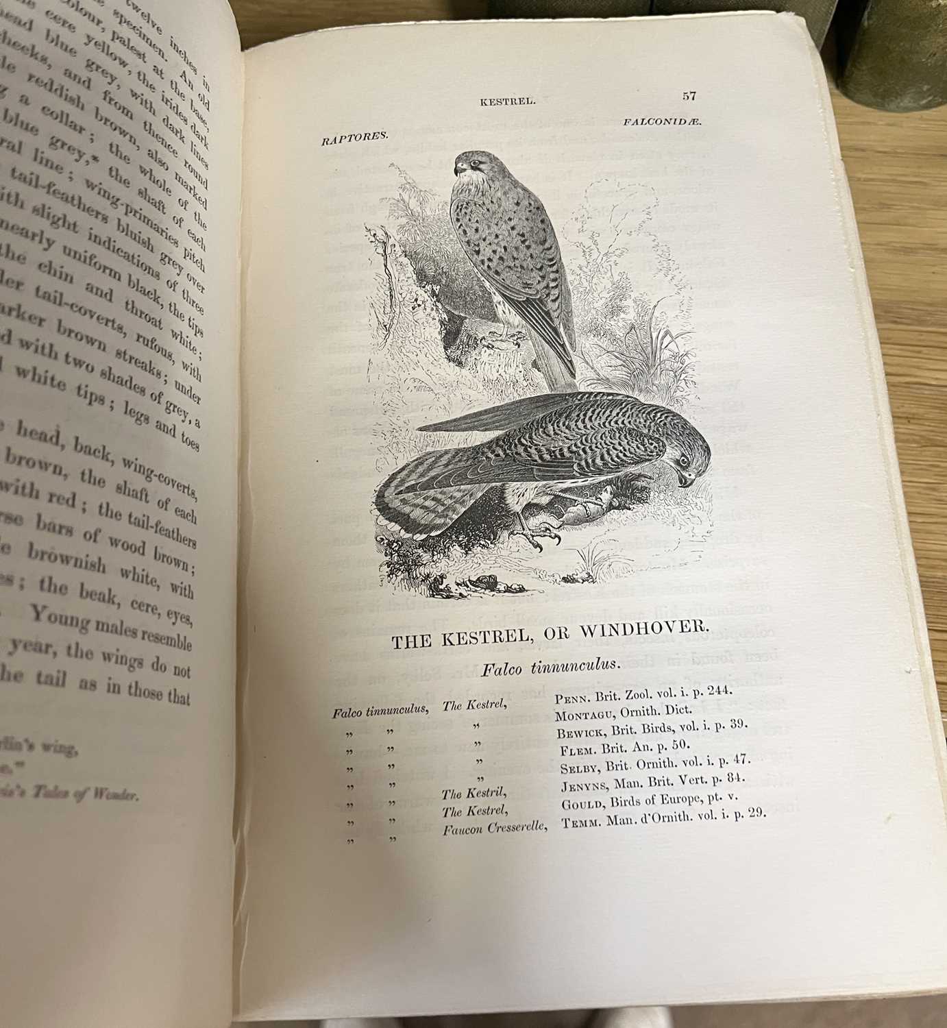 Yarrell - History of British Birds - London, John Van Voorst, 3 Vols, second edition, over 500 - Image 5 of 5
