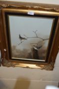Bird study in gilt frame