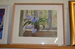 20th Century School watercolour study of house plant, unsigned, framed and glazed