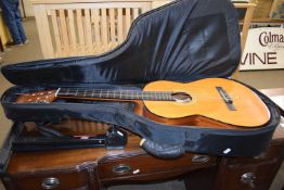 A guitar with case and stand
