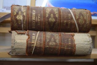 JOHN KITTO: BIBLE IN TWO VOLUMES, (1 and 2)