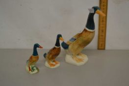 Graduated set of three Beswick ducks