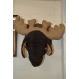 Fabric moose head on wall mount shield back