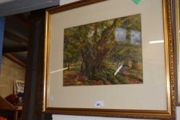 Gentleman by an oak tree, watercolour, framed and glazed