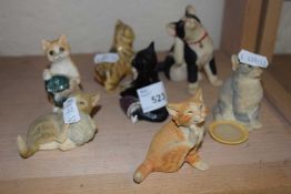 Collection of model cats