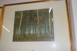 Forest Edge by Kenneth Leach, framed and glazed