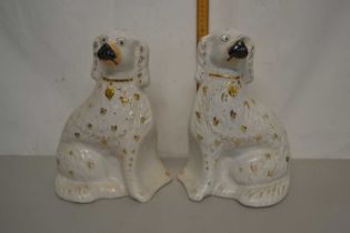 A pair of Staffordshire spaniels with gilt decoration